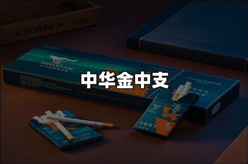 中华金中支